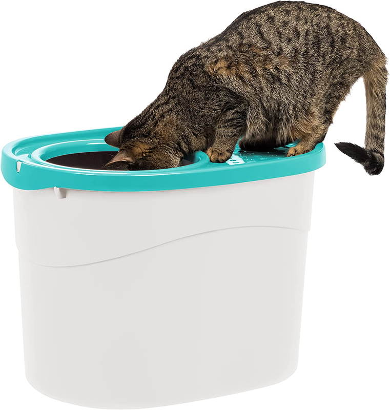 With Scoop, Kitty Litter Tray With Litter