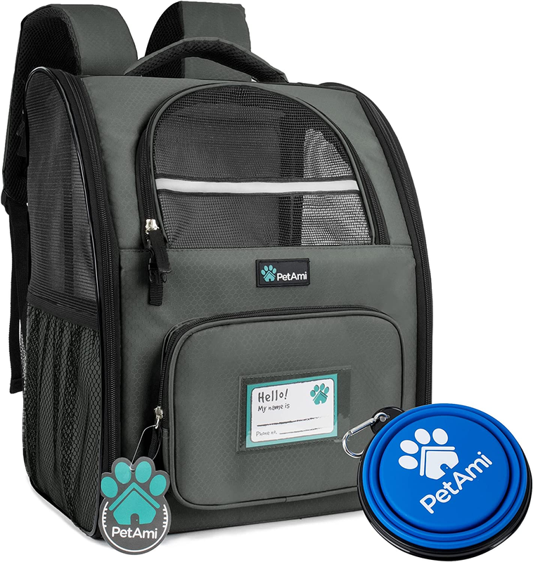 Backpack For Small Cats And Dogs, Puppies | Reinforced