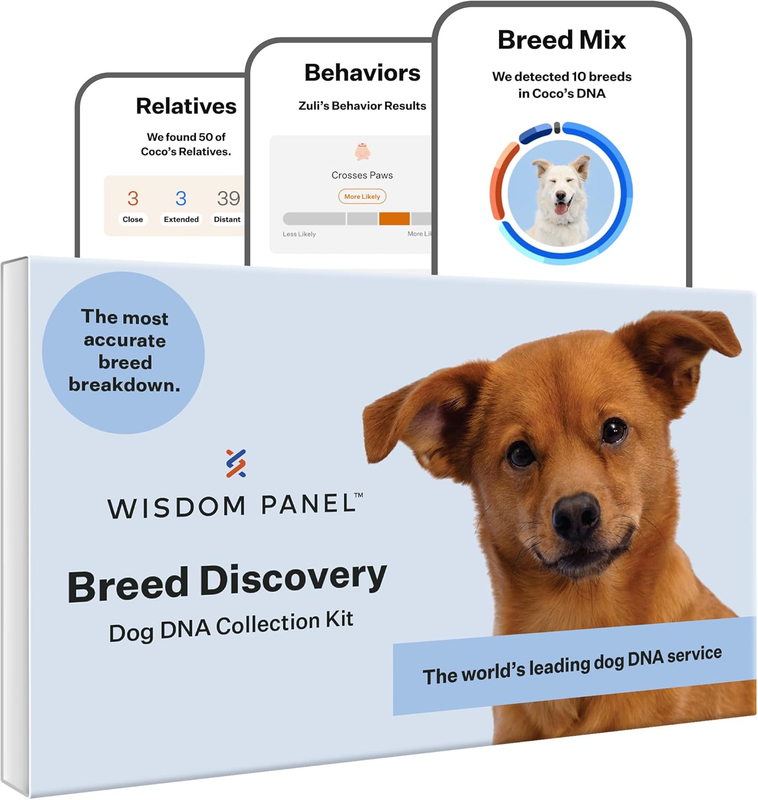 Panel Breed Discovery Dog DNA Kit: Most Accurate Dog Breed Identification, Test 