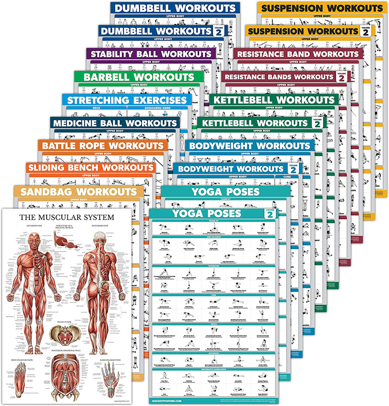 20 Pack - Exercise Workout Poster Set: Dumbbell, Suspension, Battle Rope