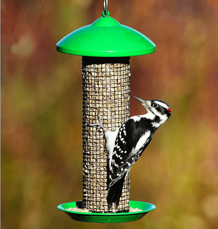 Mini Mesh Screen Bird Feeder with Metal Roof, Green, 1.2 Lb Seed Capacity