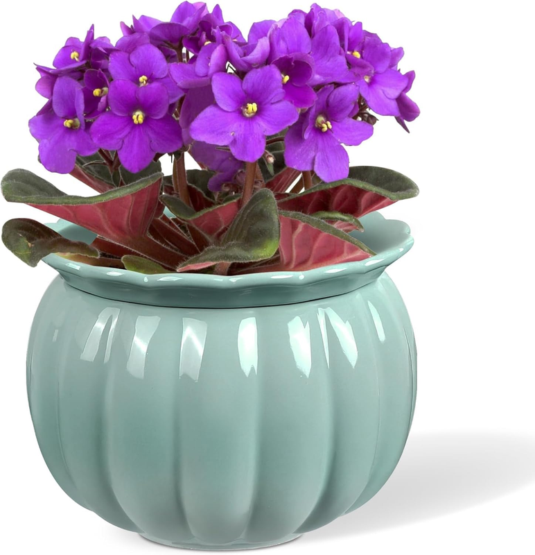 African Violet Pots, Self-Watering Ceramic Planter for Indoor Plants – 6 Inch Po