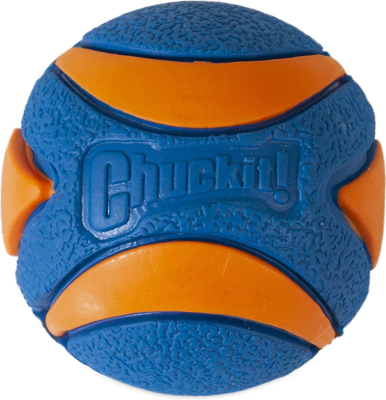 Chuckit Ultra Squeaker Ball Durable High Bounce Chewable Dog