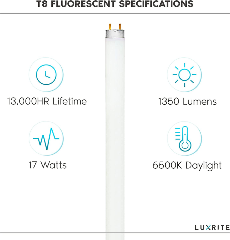 F17T8/865 17W 24 Inch T8 Fluorescent Tube Light Bulb, 6500K Daylight, 1350 Lumen