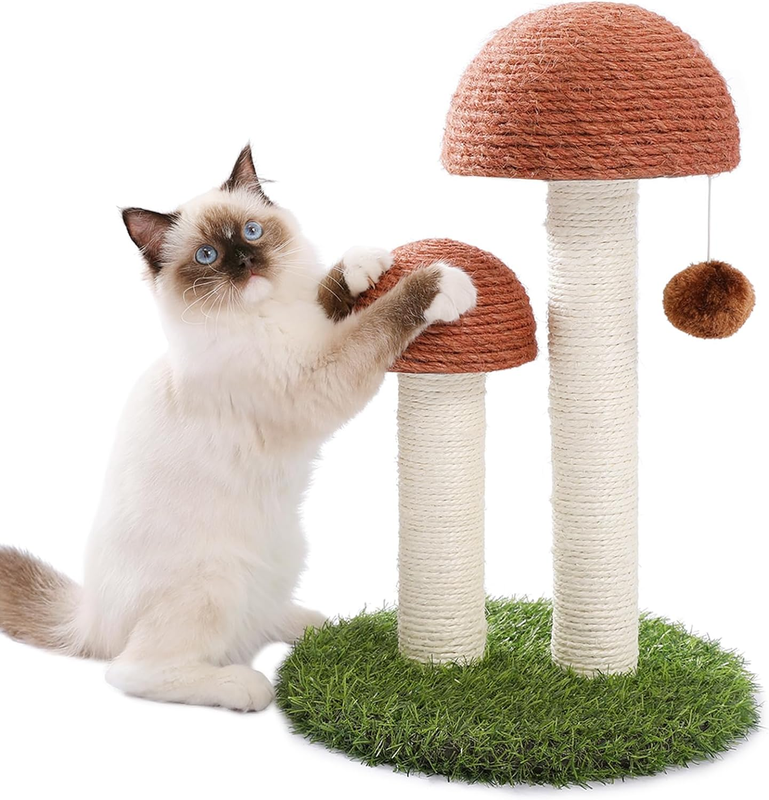 PETEPELA Mushroom Cat Scratching Post for Kittens & Small Cats, Brown