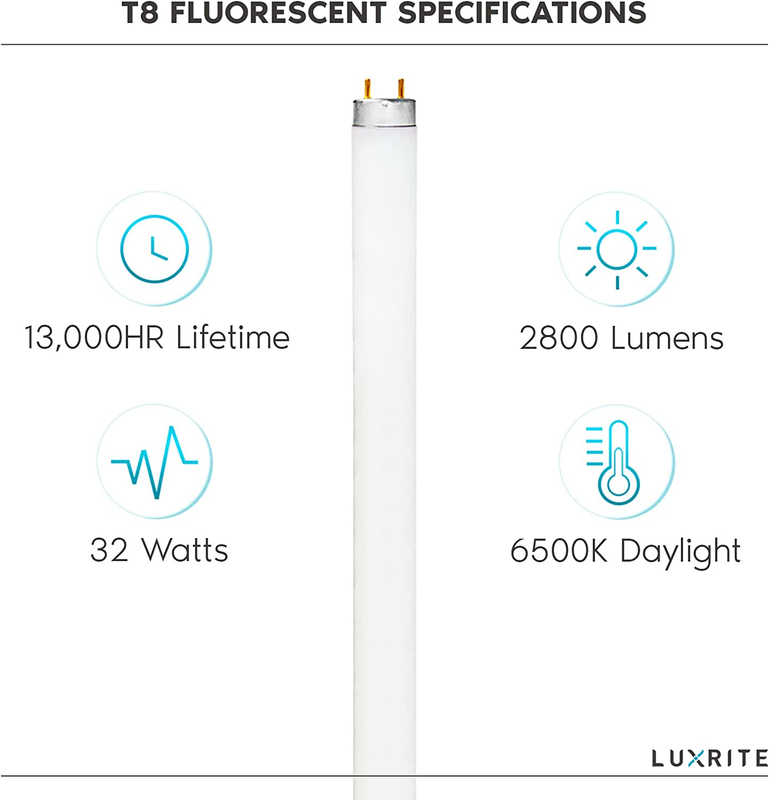 F32T8/865 32W 48 Inch T8 Fluorescent Tube Light Bulb, 6500K Daylight, 2800 Lumen