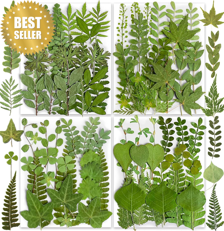 85PCS Dried Pressed Leaf Leaves, Green Natural Plant Herbarium Set for DIY Jewel