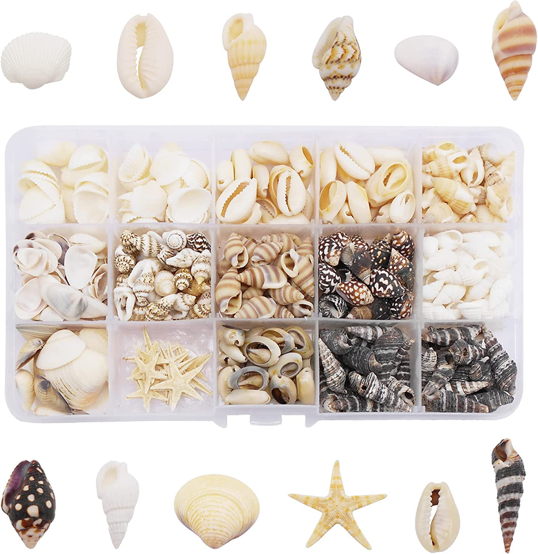 1 Box 400pcs Small Tiny Sea Shells Mixed 0.7"-1.2" Beach Natural Seashell for DI