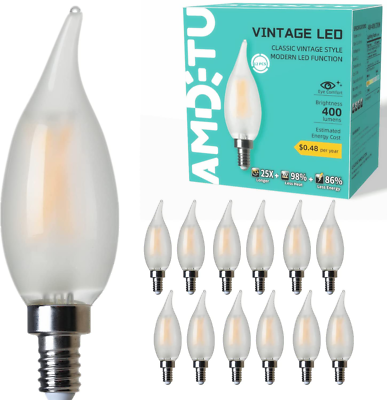 40 watt 2024 edison light bulb