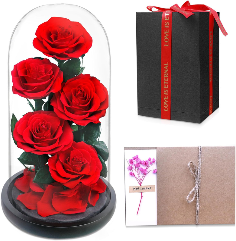 Forever Preserved Rose, Handcrafted Eternal Rose in Glass Dome, Beauty and the B
