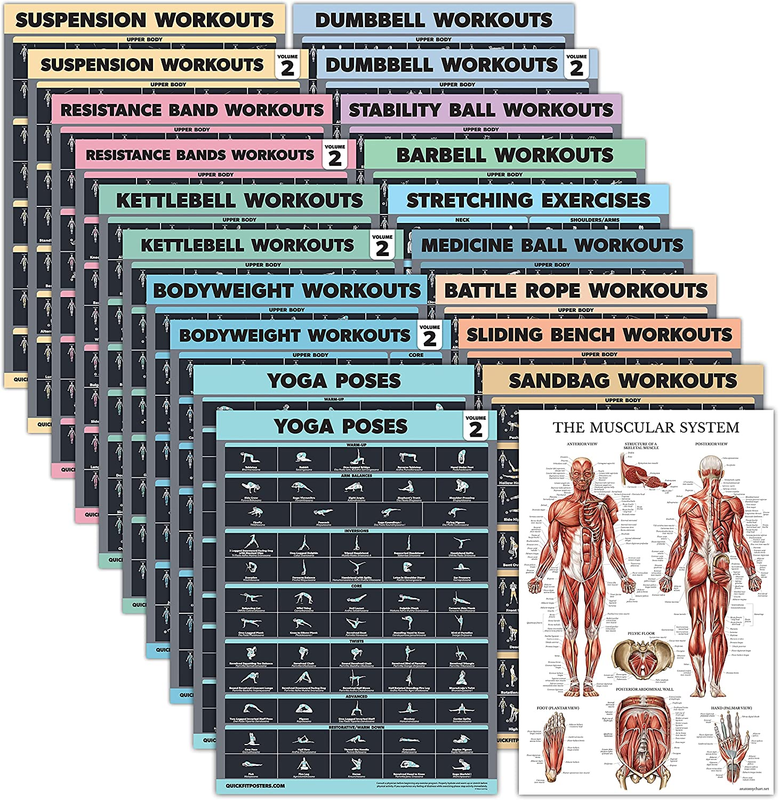20 Pack - Exercise Poster Set: Dumbbell, Suspension, Battle Rope, Stretching, Bo