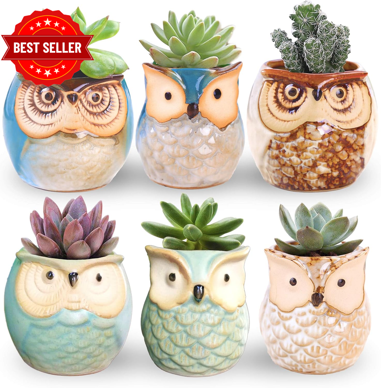 6 Pcs 2.5 Inches Owl Pots Little Ceramic Succulent Bonsai Pots with a Hole - Pac