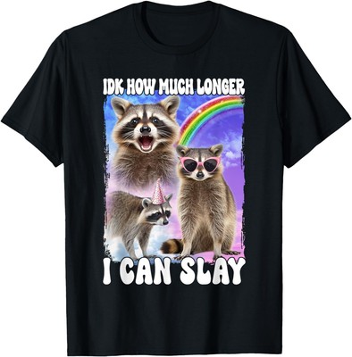 NEW Idk How Much Longer I Can Slay Raccoon Funny Gift Idea T-Shirt - MADE IN USA