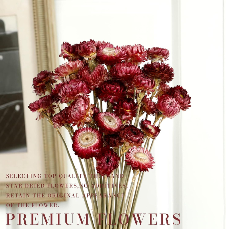Dried Flower 40PCS Daisy Bouquet 100% Natural Chrysanthemum Dry Flower for Vase