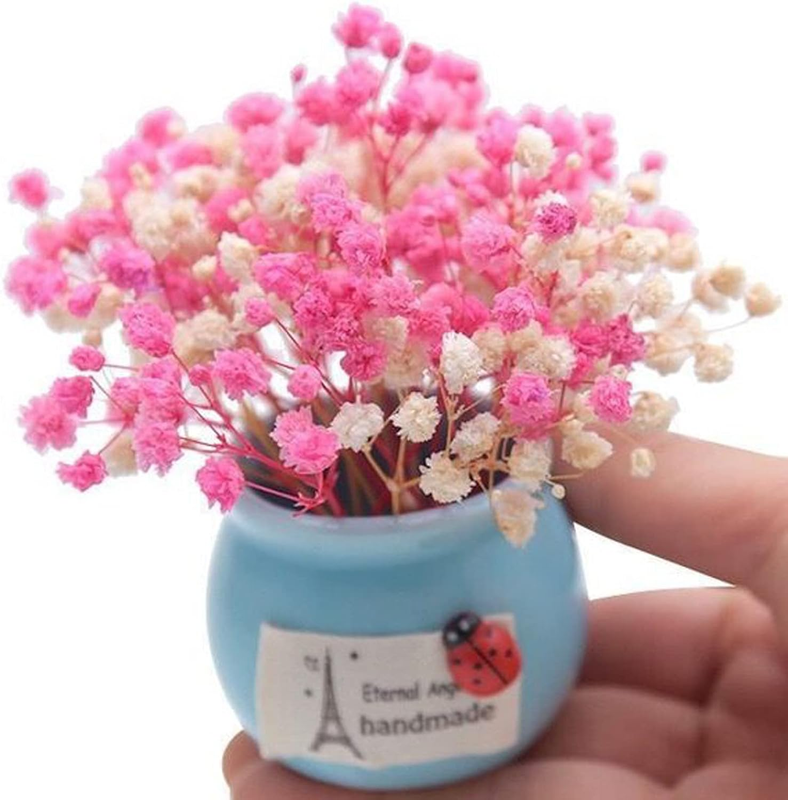 50Pcs Mini Dried Baby's Breath Flowers for Resin Art Craft DIY, 3000+ Natural Iv