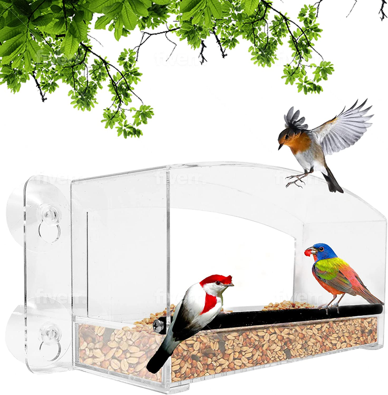 - Dome Roof & Steel Perch - Weatherproof Rain Or
