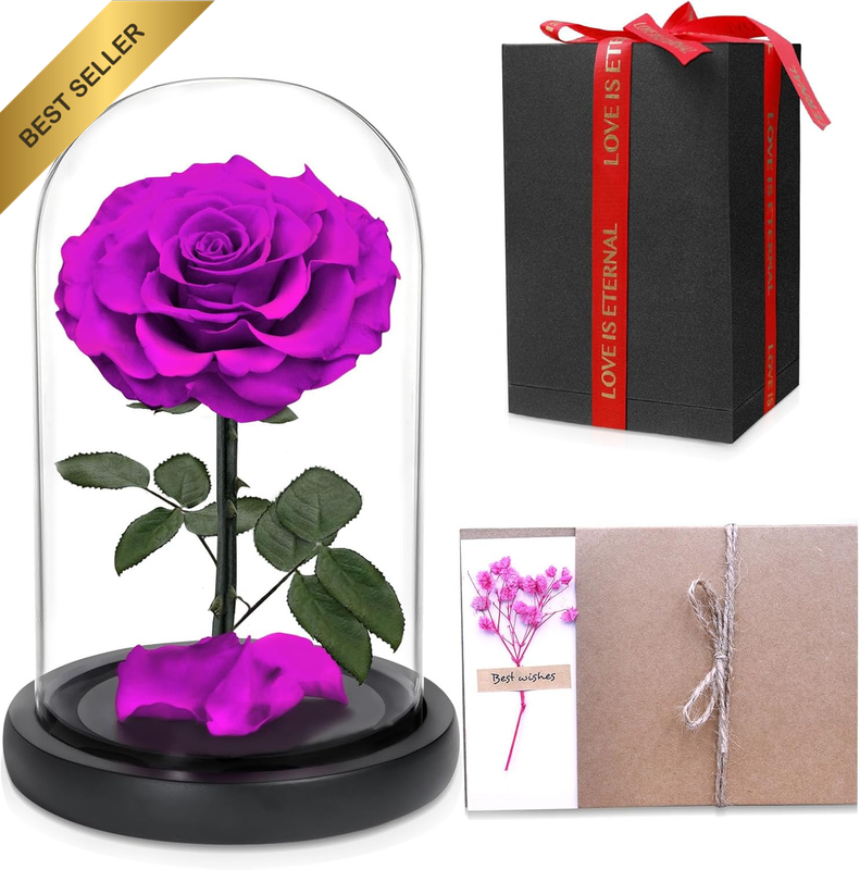 Forever Preserved Rose, Handcrafted Eternal Rose in Glass Dome, Beauty and the B