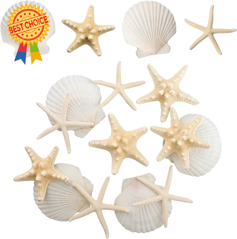 12Pcs Large Starfish Seashells Mixed Scallop Shells Bulk for DIY Craft Décor