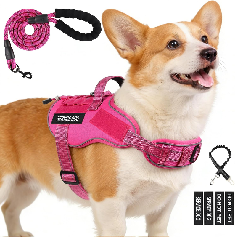 Service Dog Vest No Pull Harness Leash Set Reflective Handle Small Medium Dogs