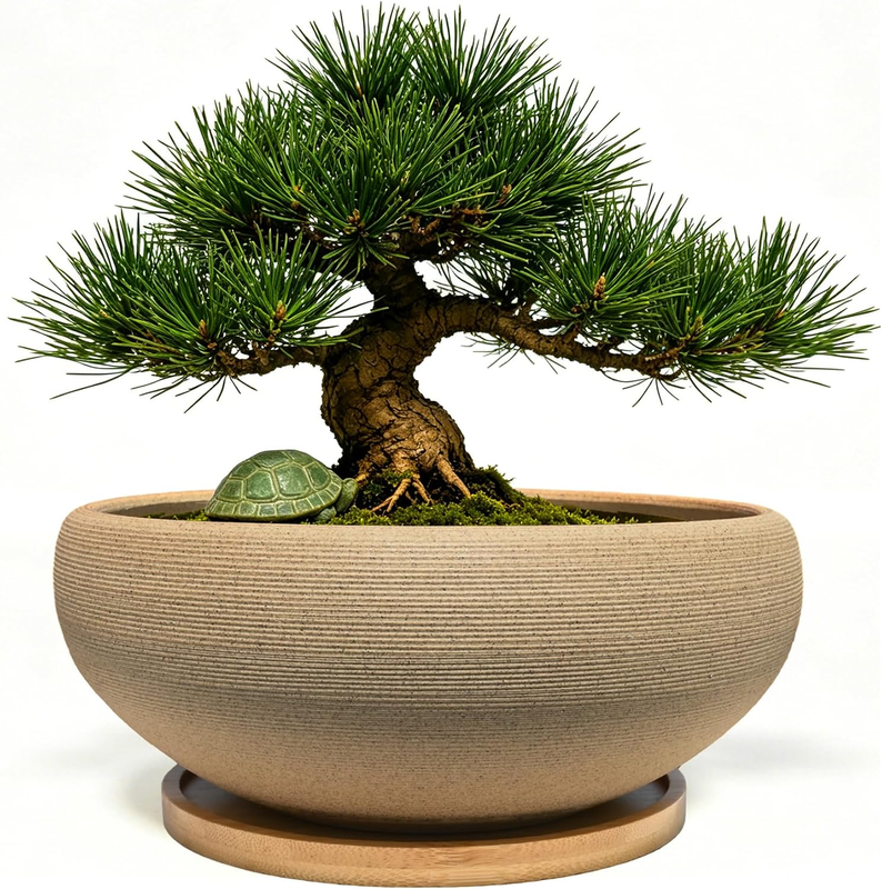 round Unglazed Ceramic Bonsai Plant Pot with Bamboo Tray, Large Rough Pottery In