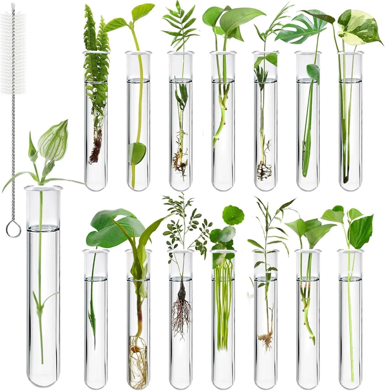 15Pcs Clear Test Tubes for Plant Propagation with Brush，Wall Mounted Propagation