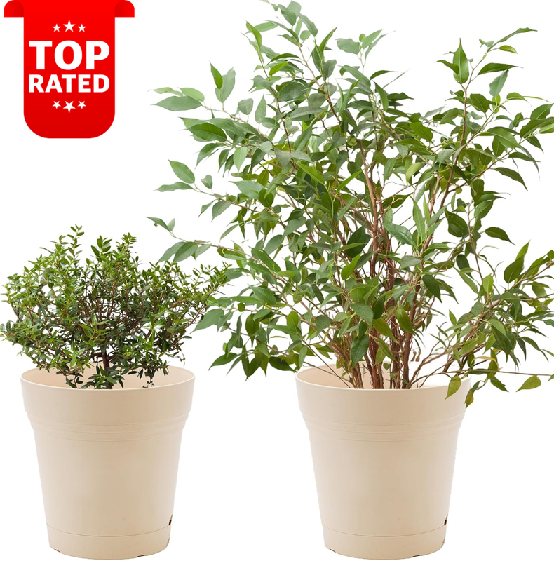 Self Watering Planters 21.8cm Ivory 2 Pack Indoor Outdoor Flower Pots Large