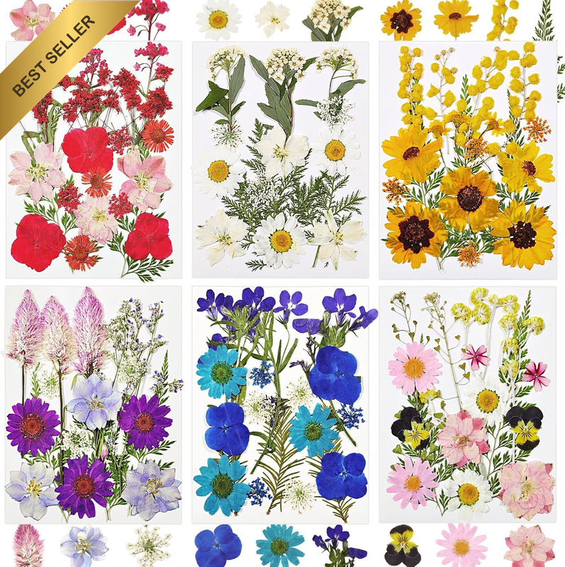 Dried Flowers for Resin, 106Pcs Natural Flowers and Leaves Compressed, Vacuum Pa