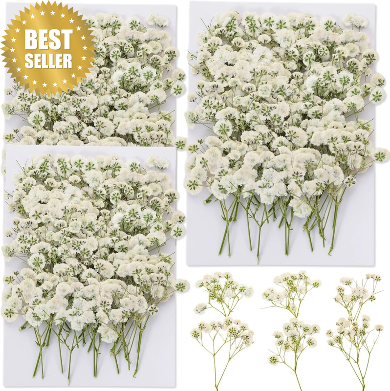 90Pcs Mini Dried Pressed Baby'S Breath Flowers Bulk - Natural Flat Real White Gy