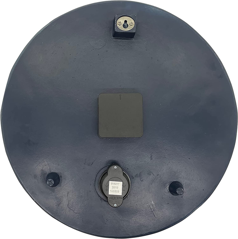 Taylor by the Sea Poly Resin Indoor and Outdoor Clock and Thermometer, 14 Inches