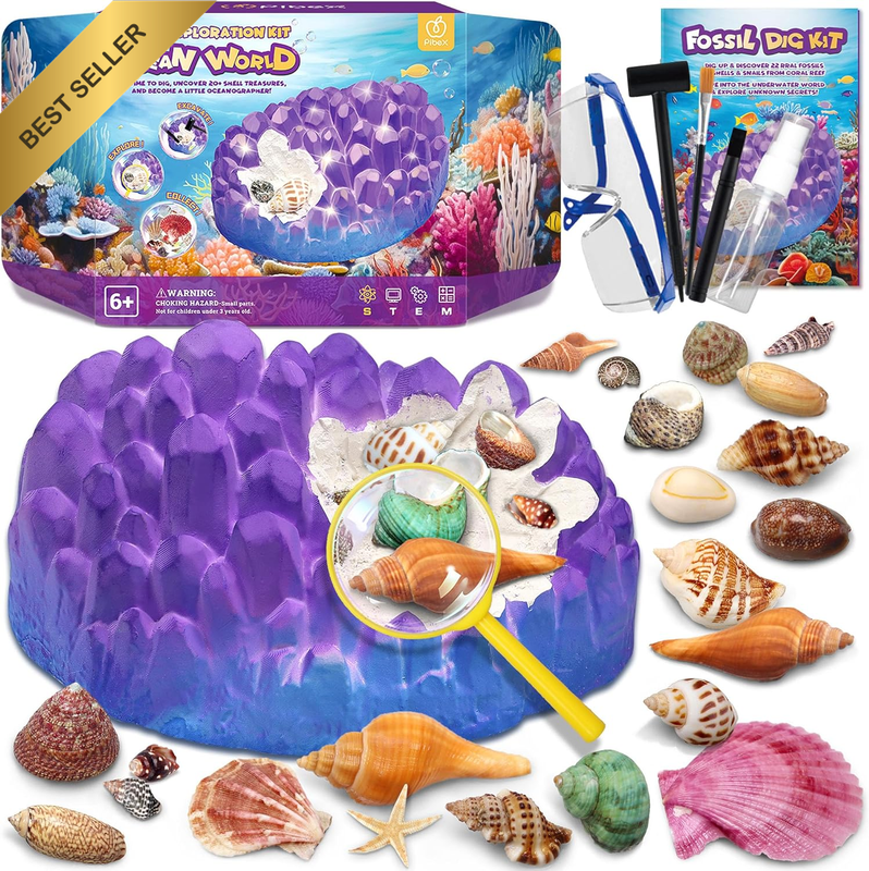Ocean Fossil Dig Kit 20+ Real Shells Seasnails STEM Geology Toy