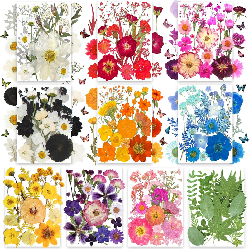 301Pcs Dried Pressed Flowers Leaves & Butterfly Stickers for Crafts, Real Natura
