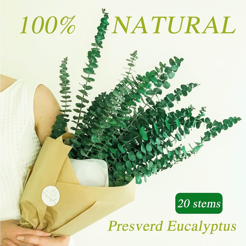 20 Pcs Preserved Dried Eucalyptus Stems, 17" Natural Fresh Eucalyptus Bundles fo