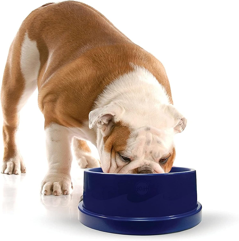 Coolin' Pet Bowl Cooling Dog Bowl Pet Water Dish for Large Medium Small Breed Do