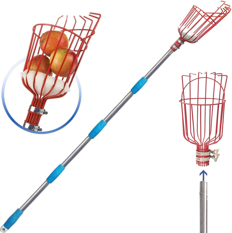 5FT Fruit Picker, Fruit Picker Tool with Basket & Adjustable Stainless Steel Pol