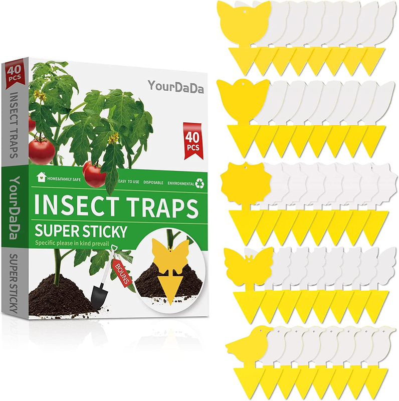 For Fruit Fly, Whitefly, Fungus Gnat, Mosqui