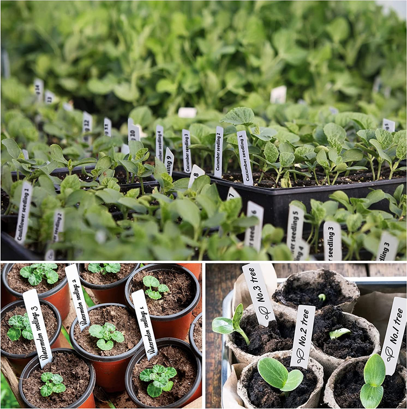 Plant Labels 300Pcs 4 Inch Plastic Name Tags for Seedlings Garden Labels Markers
