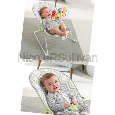 Fisher-Price Baby's Bouncer, Geo Meadow