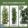 2 Pack Moss Pole, 63 Inch Bendable Moss Poles for Plants Monstera Long for Climbing Plants, Extra Large Handmade Pole Plant Sticks Support Stakes for Indoor Plants to Grow Upwards