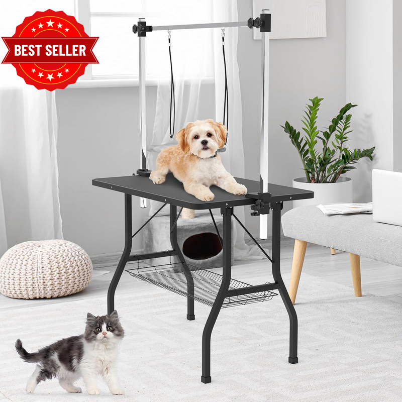 Picture 3