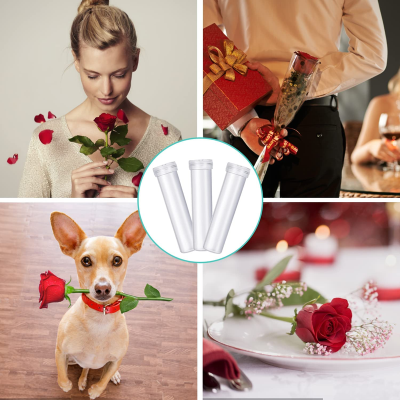 100Pcs Floral Water Tubes with Caps, Plastic Flower Vials Tubes for Flower Arran
