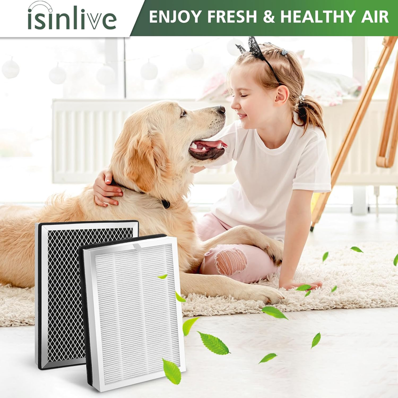 25 HEPA Replacement Filter Compatible with 25 Air Purifier, HEPA, Activated Carb