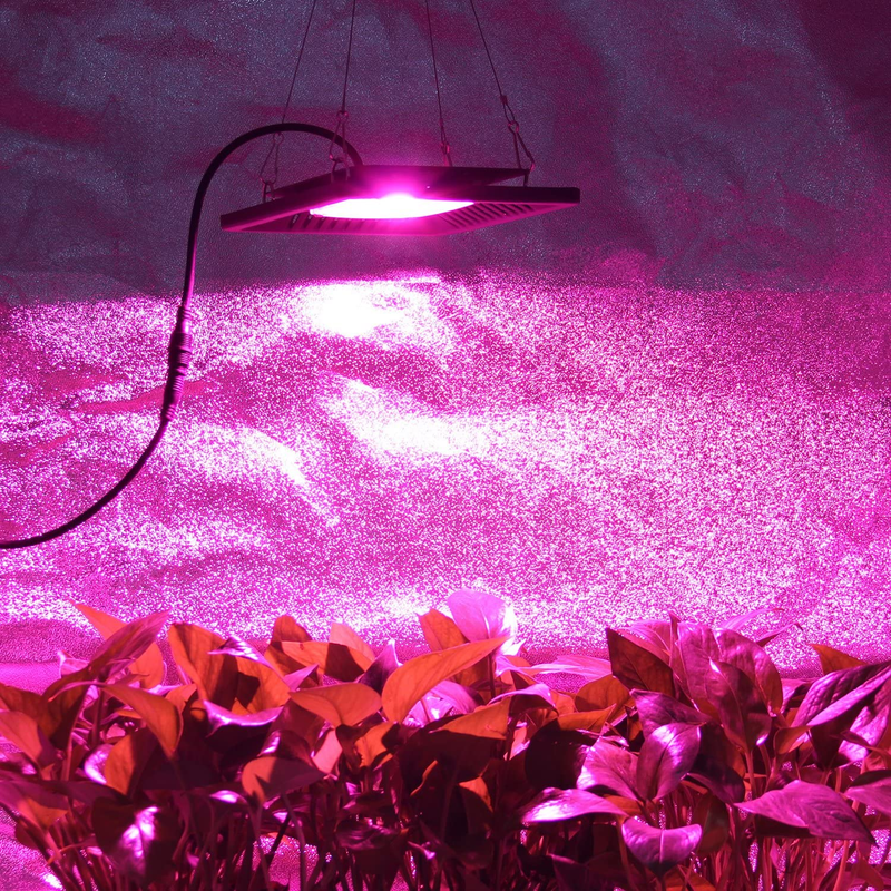 Waterproof 100W LED Grow Light Full Spectrum, New Technology COB LED Grow Light,