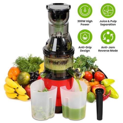300W Cold Press Juicer Machine Slow Masticating Juicer Fruit Vegetable Juicer