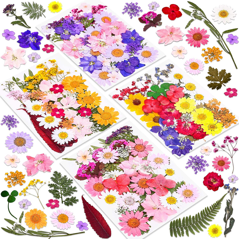 140 Pcs Dried Pressed Flowers for Resin, Real Pressed Flowers Dry Leaves Bulk Na