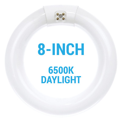 S6501 FC8T9/D/RS 8-Inch Fluorescent Circline 22W T9 4-Pin G10q 6500K Daylight