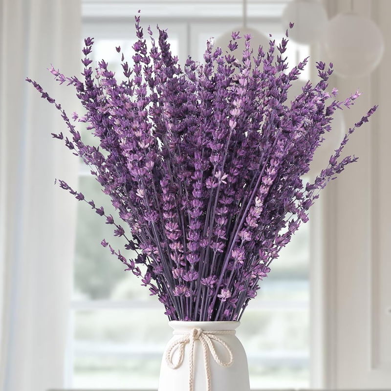 120+Stems Dried Lavender Flowers Bundle-Dried Preserved Lave