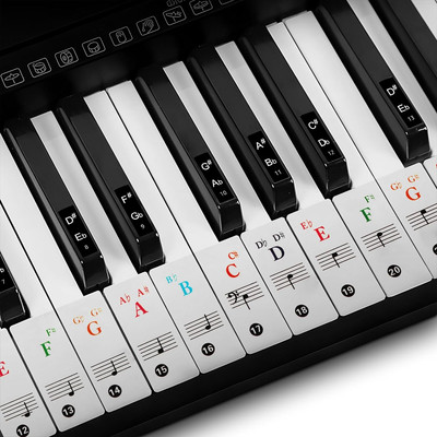 Piano Key Stickers, 61 Keyboard Piano Key Piano Keyboard Stickers Colorful Large