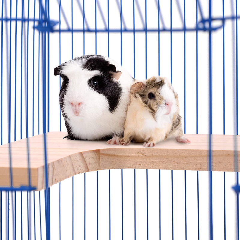 Perches For Squirrel Chinchilla Rabbit, Wooden Stand Sh