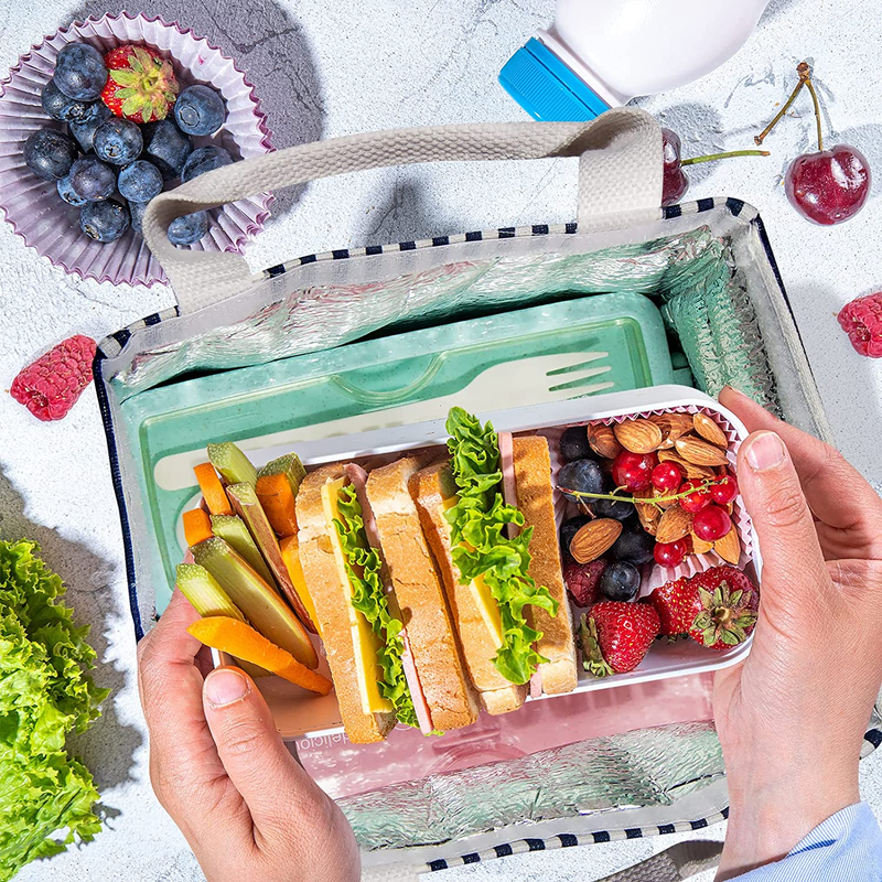 2Pack Lunch Bag Insulated Lunch Box for Women Men,Reusable Adult Lunch Tote Bags