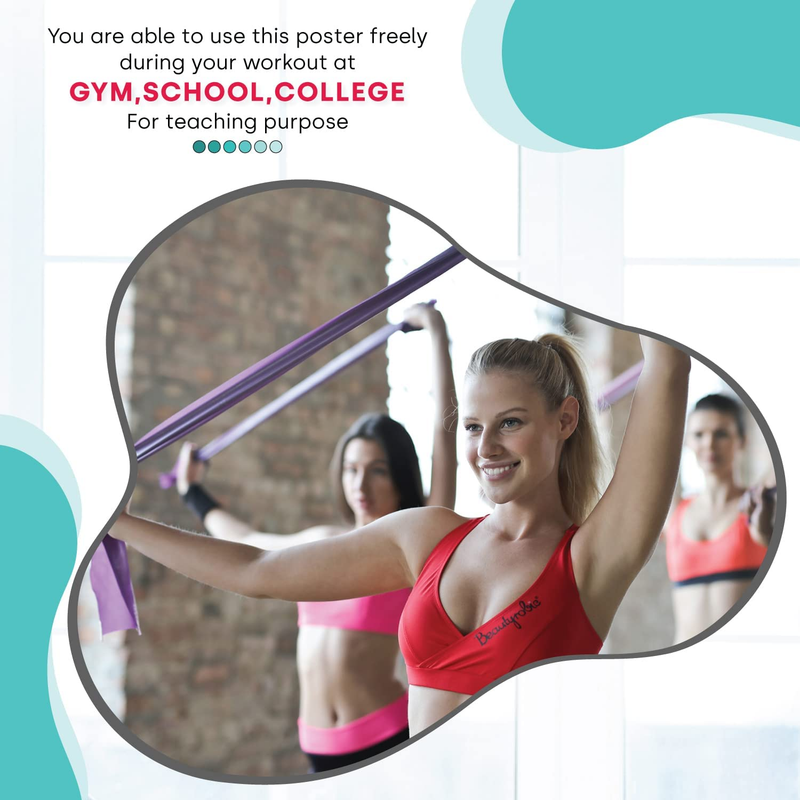 - No-Equipment Laminated Resistance Band Workout Poster with Colored Illustratio